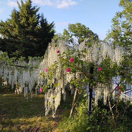 Chambres D'Hotes La Tour De Bellevue Saumur Dış mekan fotoğraf
