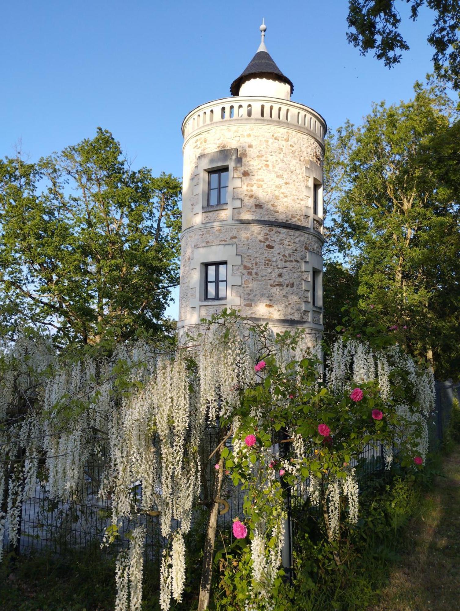 Chambres D'Hotes La Tour De Bellevue Saumur Dış mekan fotoğraf